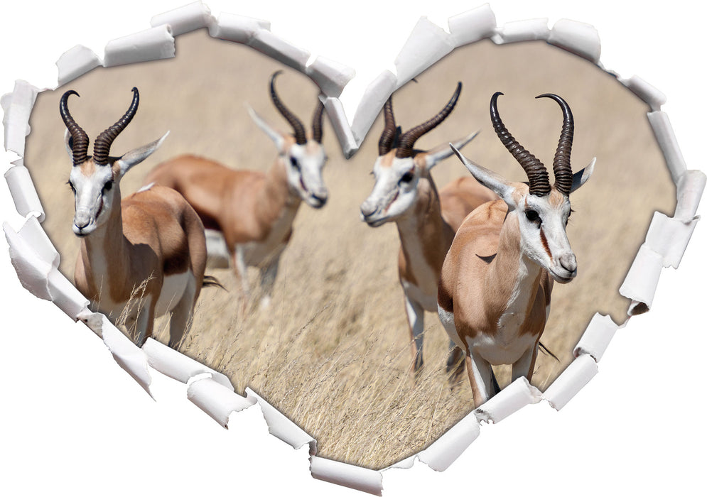 Antilopen in Savanne Afrika  3D Wandtattoo Herz