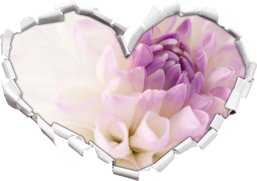 Traumhafte lila weiße Blüte 3D Wandtattoo Herz