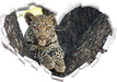 Leopardenbaby  3D Wandtattoo Herz