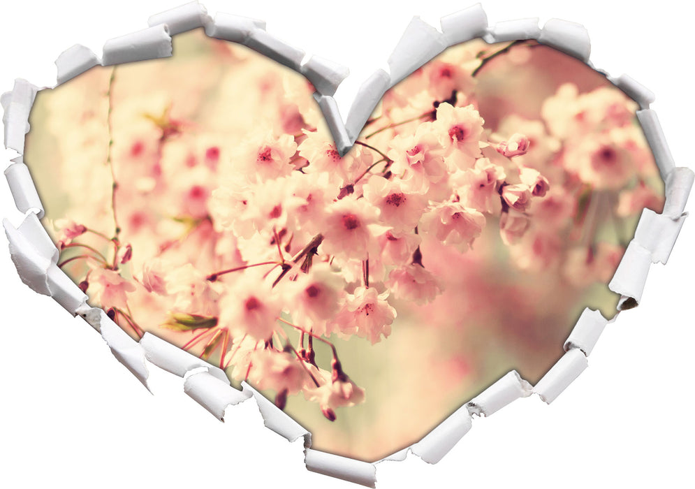 Kirschblüten 3D Wandtattoo Herz