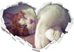 Katze mit Pfötchen  3D Wandtattoo Herz