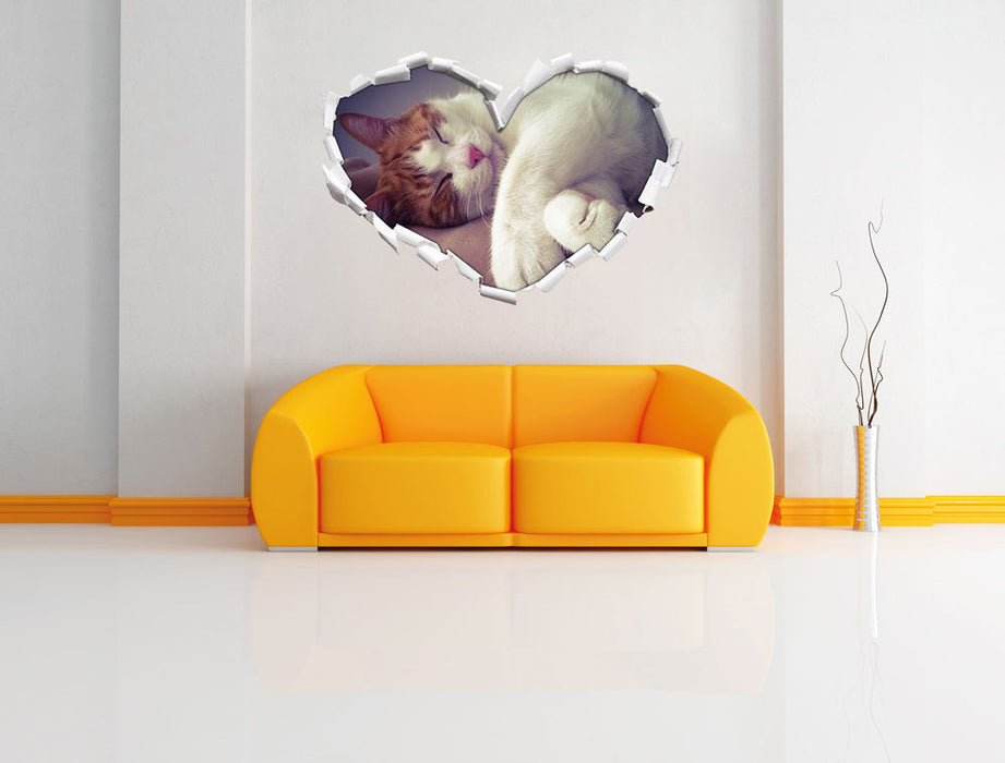 Katze mit Pfötchen 3D Wandtattoo Herz Wand