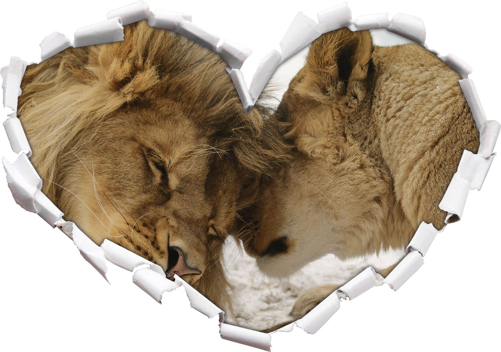 Kuschelnde Löwen 3D Wandtattoo Herz