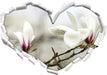 Weiße Baumblüten  3D Wandtattoo Herz