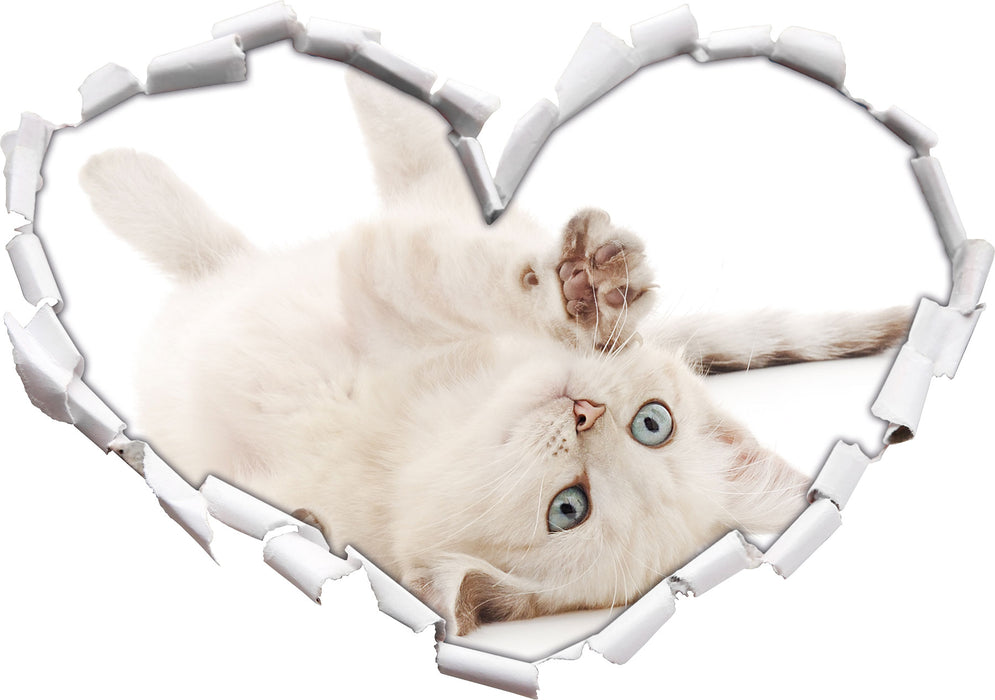 Kleine Katze  3D Wandtattoo Herz