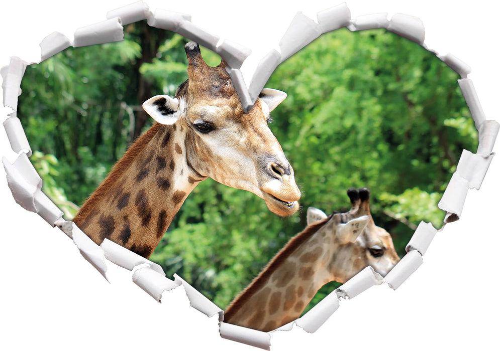 Giraffen  3D Wandtattoo Herz