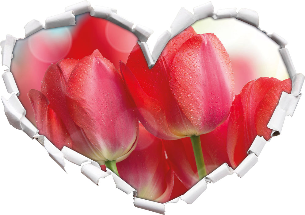 Rote Tulpen 3D Wandtattoo Herz