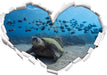 Schildkröte am Meeresboden  3D Wandtattoo Herz