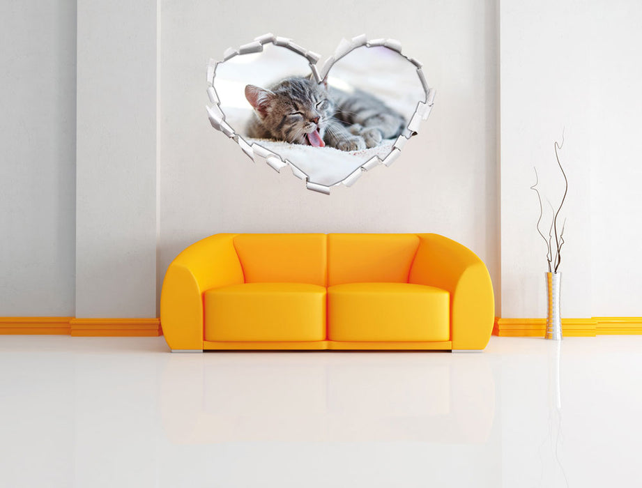 Kleines Kätzchen 3D Wandtattoo Herz Wand