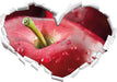 Apfel  3D Wandtattoo Herz