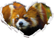 Roter Pandabär auf Ast  3D Wandtattoo Herz