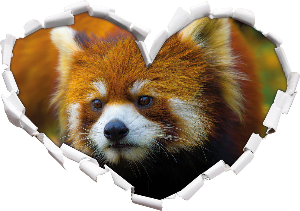 Roter Pandabär auf Ast  3D Wandtattoo Herz