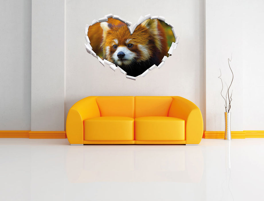 Roter Pandabär auf Ast 3D Wandtattoo Herz Wand