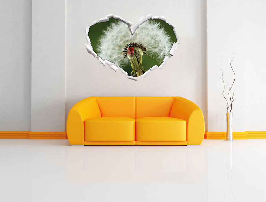Marienkäfer auf Pusteblume 3D Wandtattoo Herz Wand