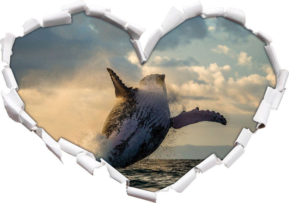 Buckelwale Kanada  3D Wandtattoo Herz