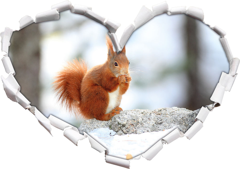Eichhörnchen im Schnee  3D Wandtattoo Herz