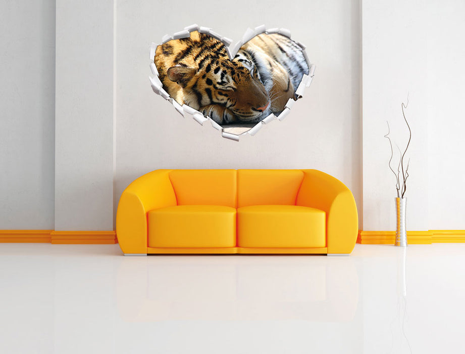 Verschlafener Tiger 3D Wandtattoo Herz Wand