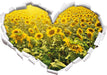 Riesiges Sonnenblumenfeld 3D Wandtattoo Herz