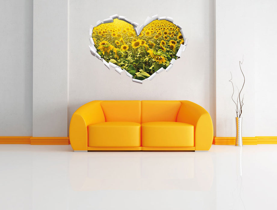 Riesiges Sonnenblumenfeld 3D Wandtattoo Herz Wand
