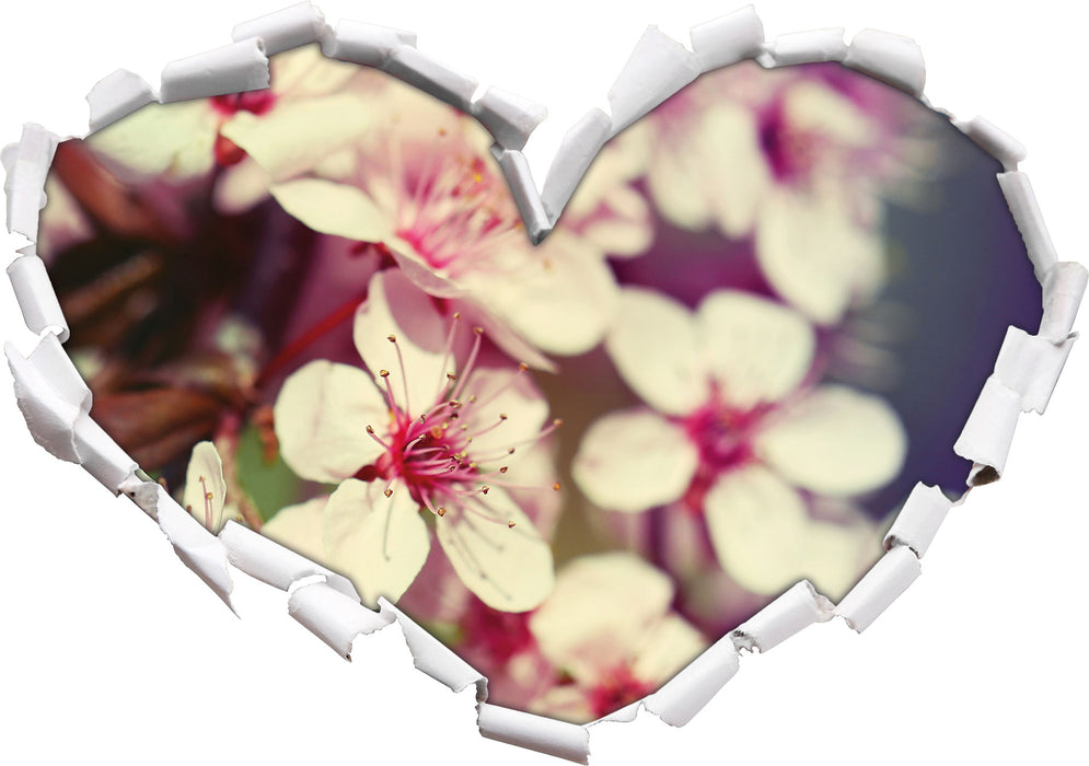 Kirschblüten Retro  3D Wandtattoo Herz