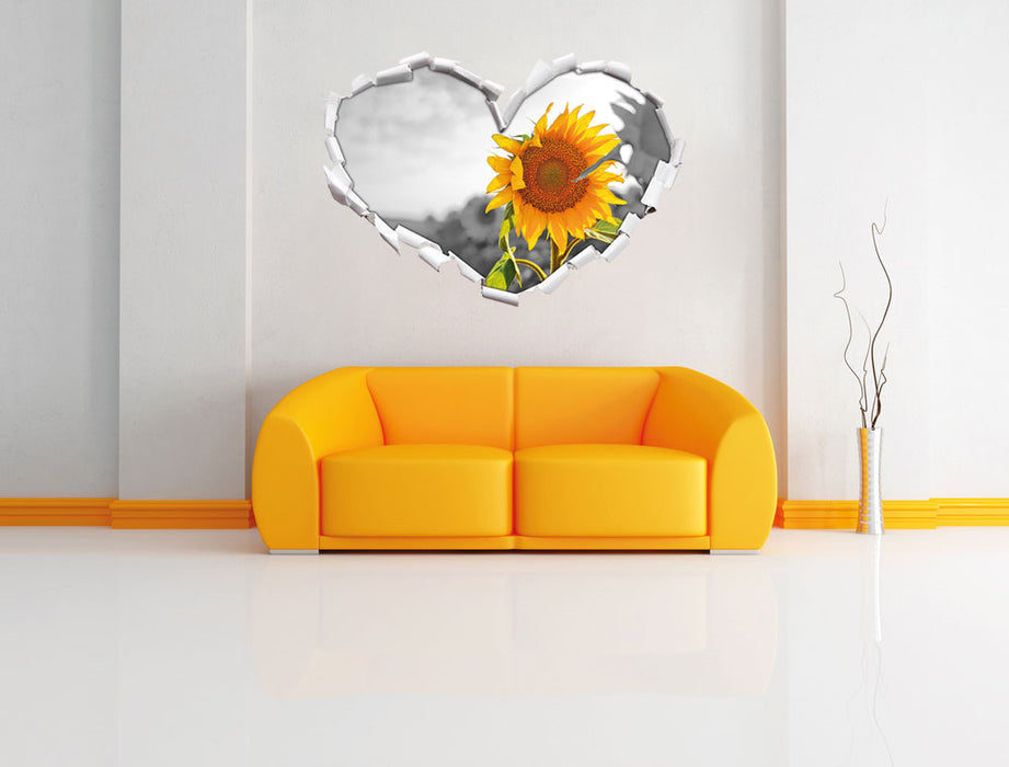 Nahaufnahme einer Sonnenblume 3D Wandtattoo Herz Wand