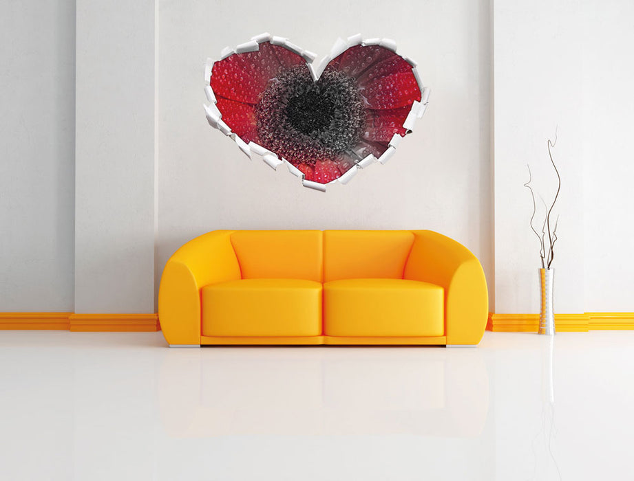 Rote Gerbera mit Wassertropfen 3D Wandtattoo Herz Wand