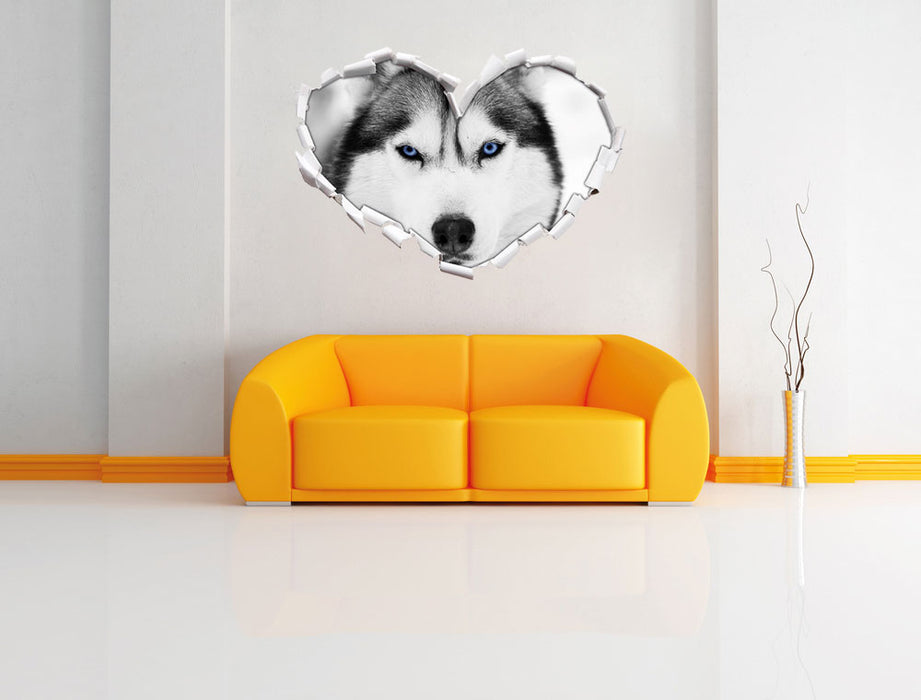 Husky mit blauen Augen 3D Wandtattoo Herz Wand