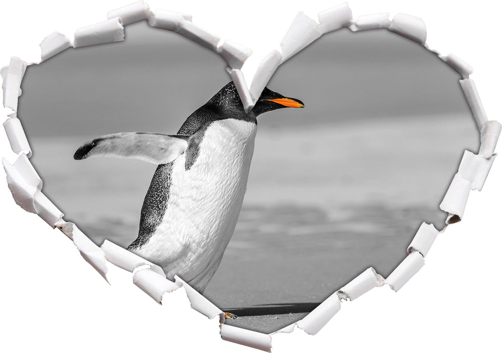 watschelnder Pinguin am Strand 3D Wandtattoo Herz