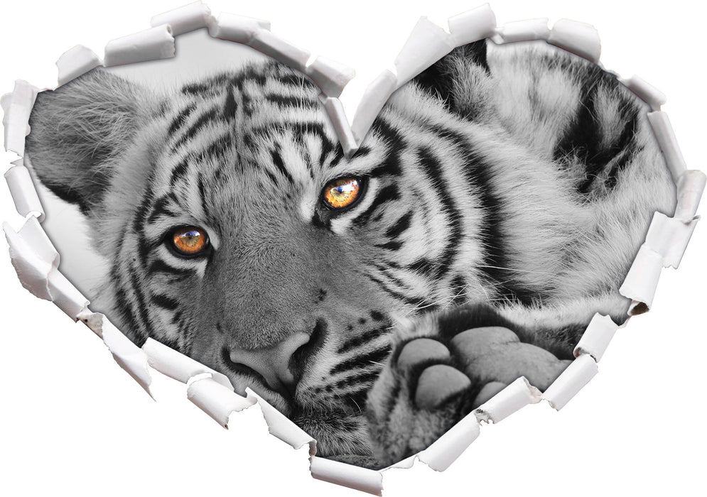 entspannter Tiger 3D Wandtattoo Herz