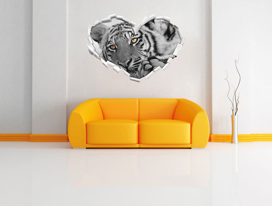 entspannter Tiger 3D Wandtattoo Herz Wand