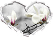 Magnolienblüten 3D Wandtattoo Herz