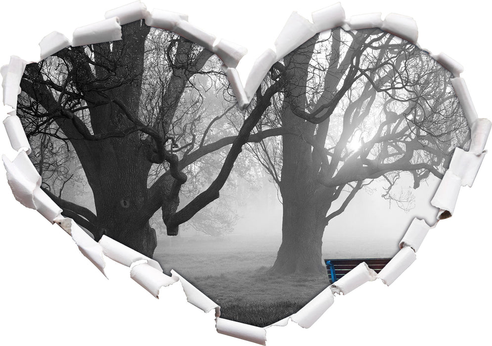 Einsame Bank im Nebel 3D Wandtattoo Herz