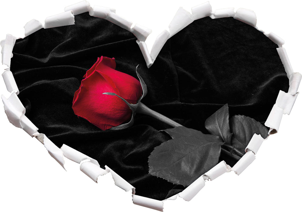 Rose gebettet auf Samt 3D Wandtattoo Herz