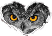 Eule mit Augen 3D Wandtattoo Herz