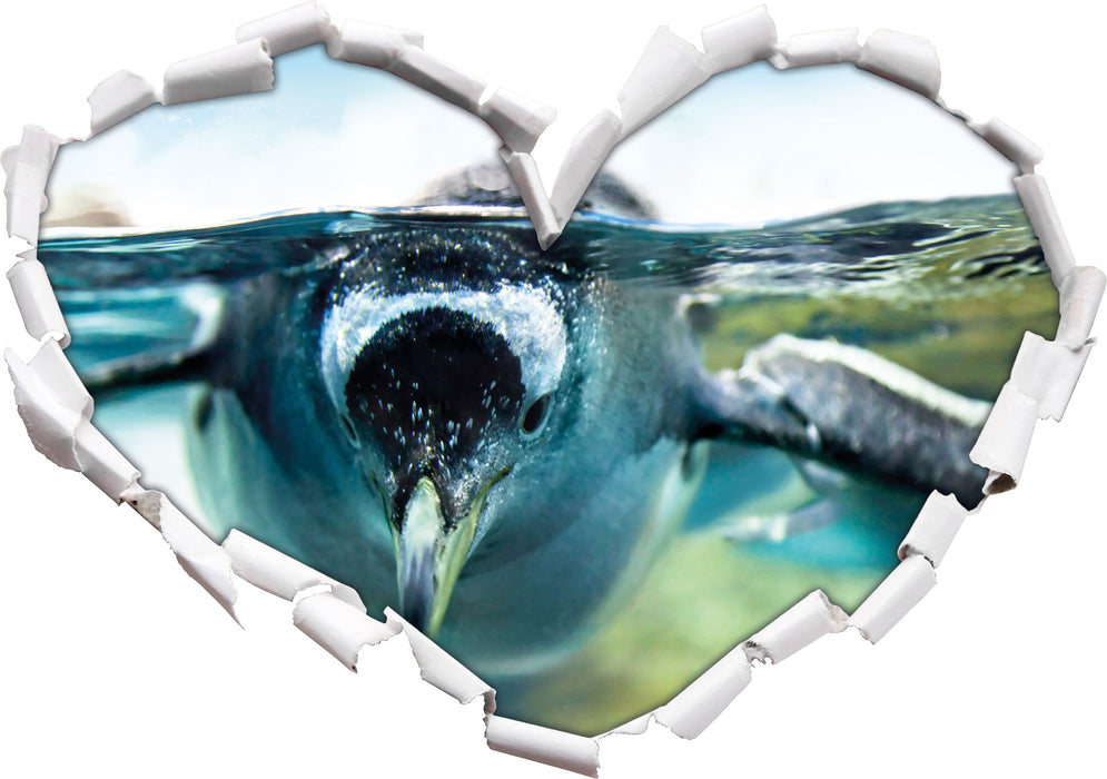 Pinguin im Wasser  3D Wandtattoo Herz