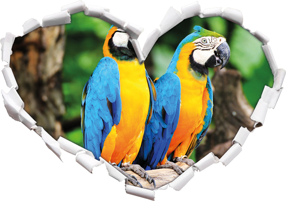 Zwei Papageien  3D Wandtattoo Herz