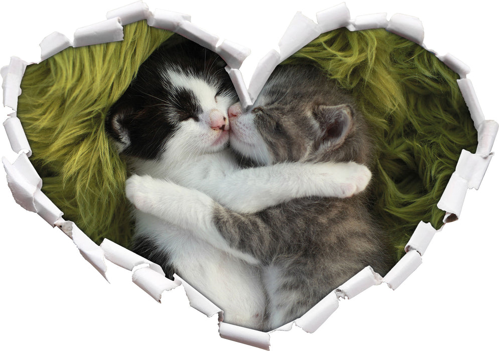 Zwei kuschelnde Kätzchen  3D Wandtattoo Herz