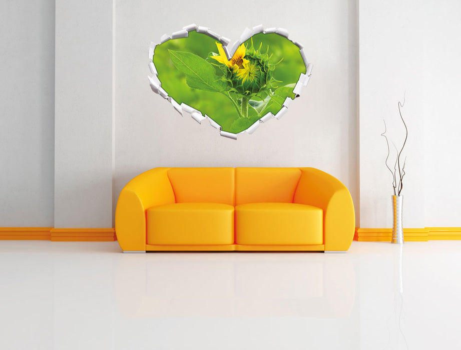 Aufblühende Sonnenblume 3D Wandtattoo Herz Wand