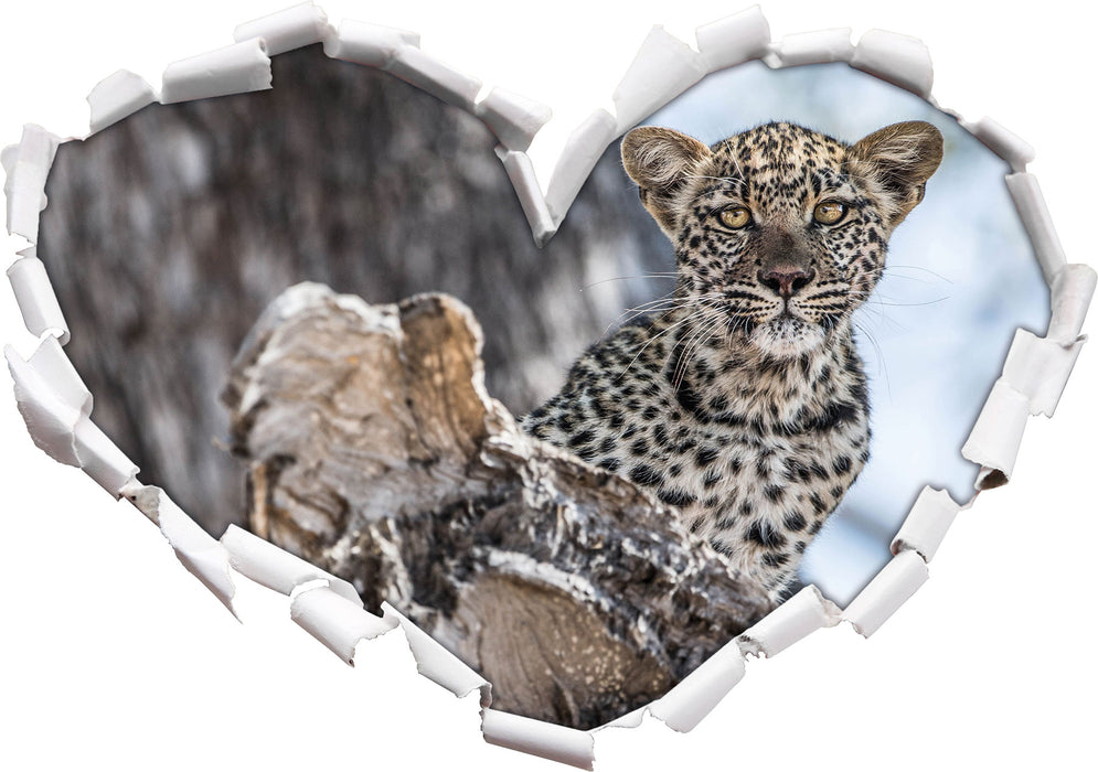 Leopardjunges auf Baum  3D Wandtattoo Herz