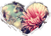Romantische Blumen 3D Wandtattoo Herz