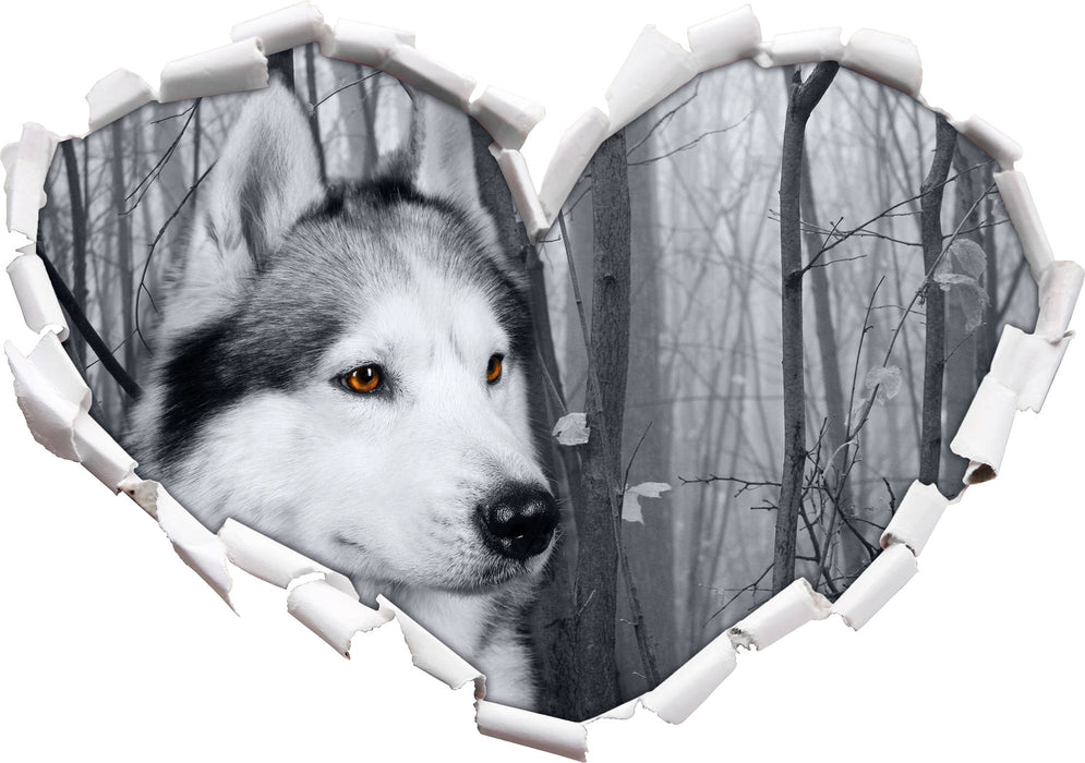 Wachsamer Husky  3D Wandtattoo Herz