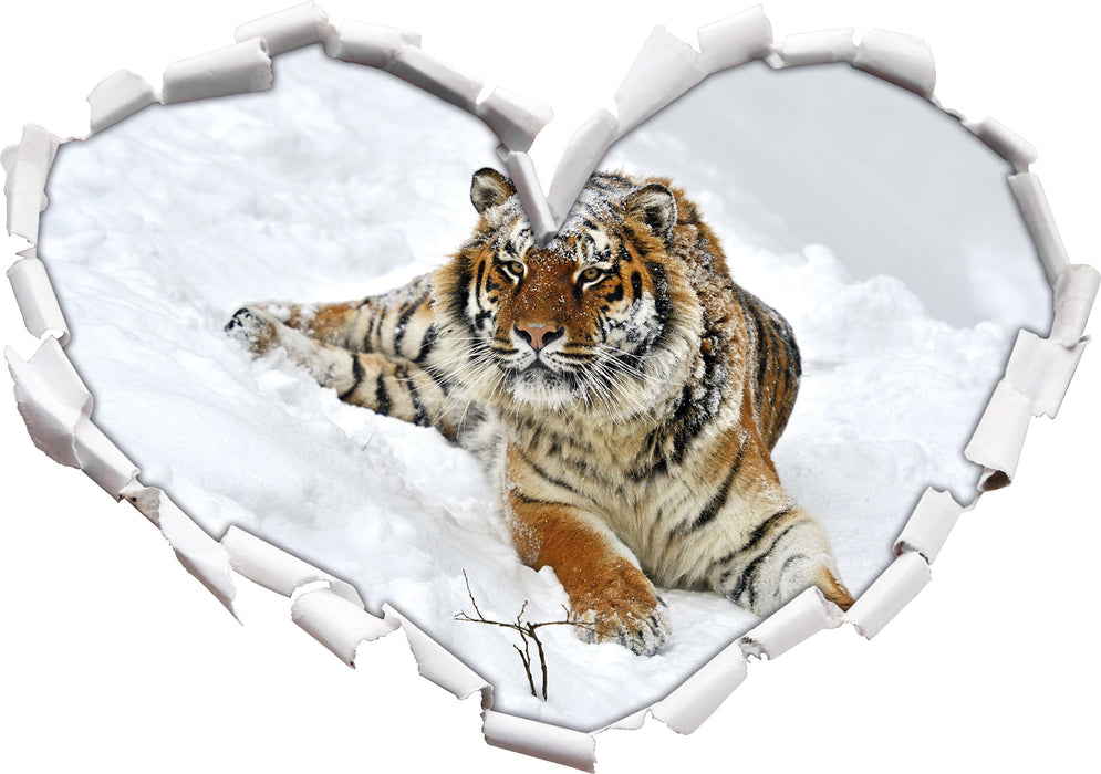 Amur Tiger im Schnee  3D Wandtattoo Herz