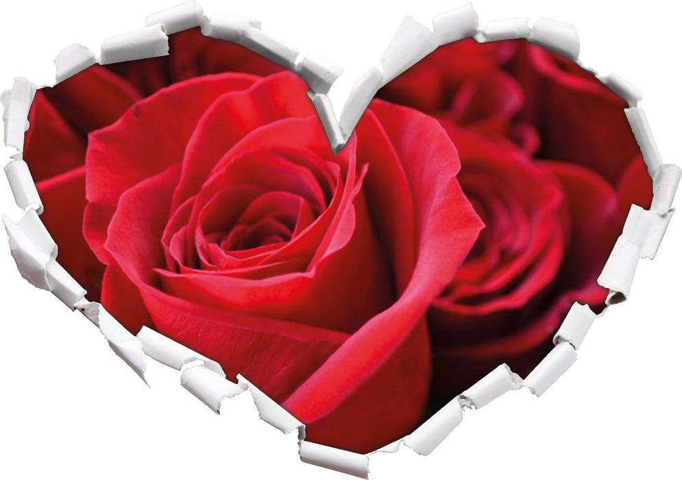 Romantische Rosen  3D Wandtattoo Herz