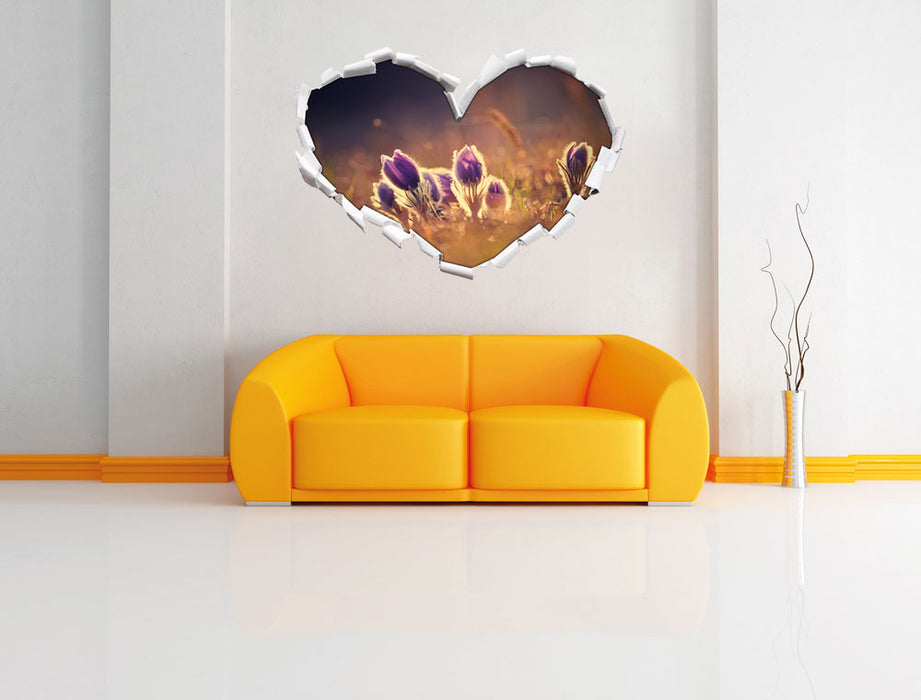 Lila Küchenschelle auf Bergwiese 3D Wandtattoo Herz Wand