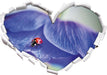Marienkäfer auf lila Blüte  3D Wandtattoo Herz