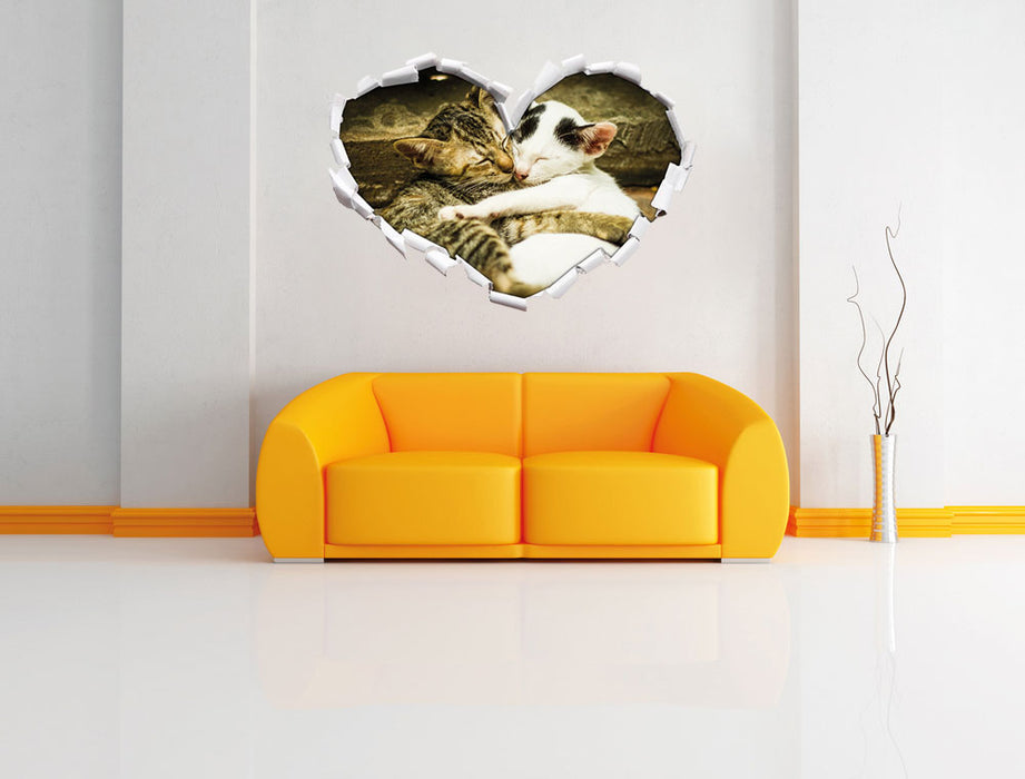 Liebende Kätzchen 3D Wandtattoo Herz Wand