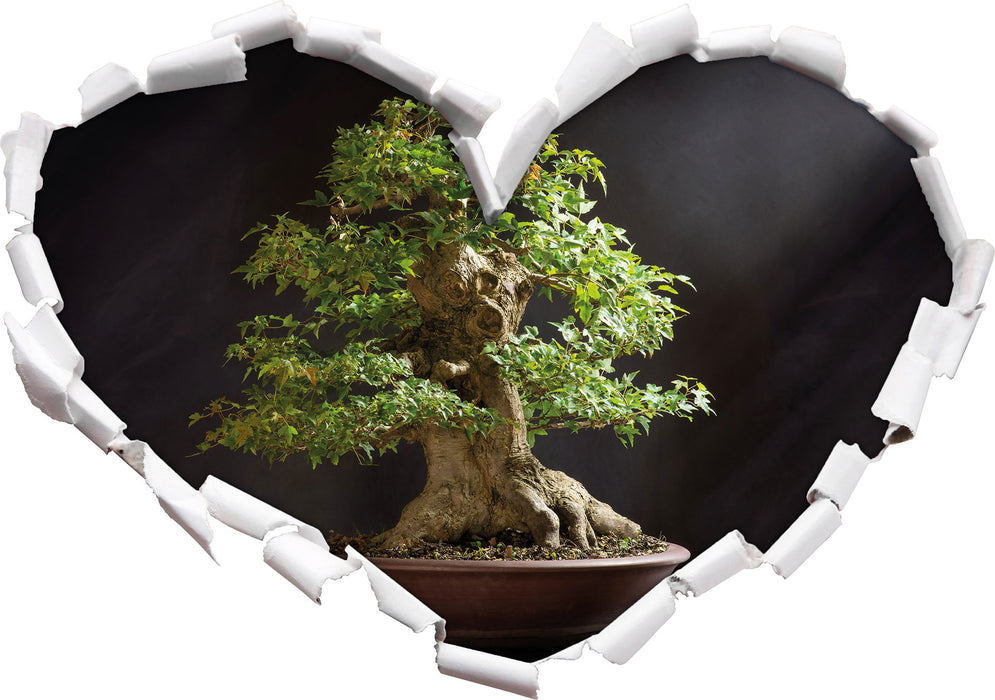 Kleiner Bonsaibaum  3D Wandtattoo Herz
