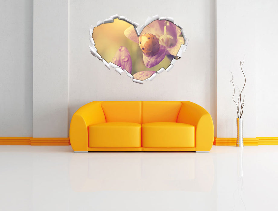 Marienkäfer auf Blüte 3D Wandtattoo Herz Wand