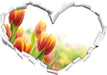 Bunte Tulpenwiese  3D Wandtattoo Herz