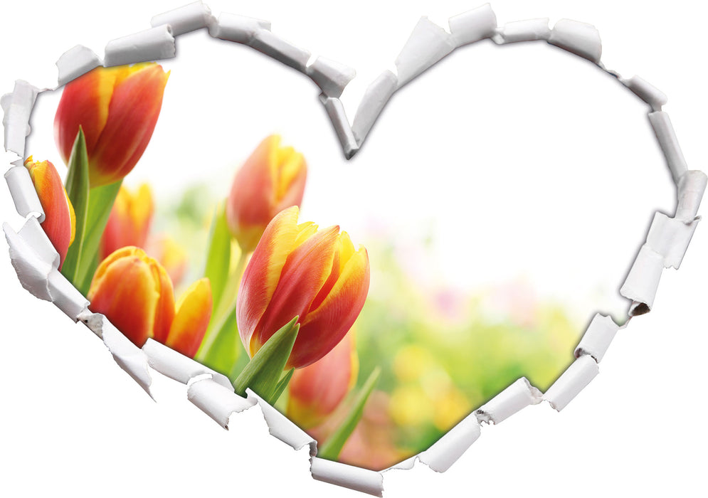 Bunte Tulpenwiese  3D Wandtattoo Herz